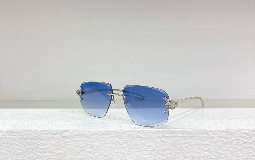 Cartier Sunglasses(AAAA)-1189