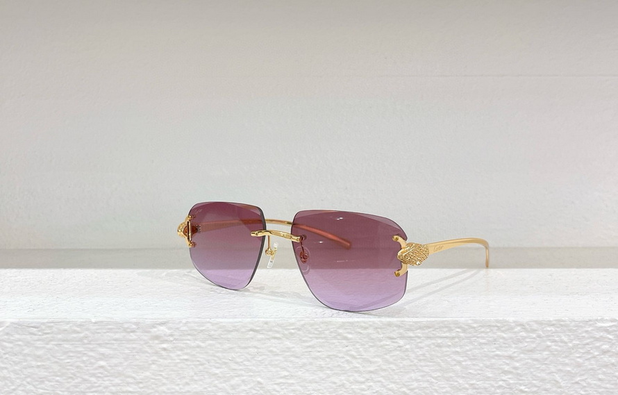 Cartier Sunglasses(AAAA)-1187