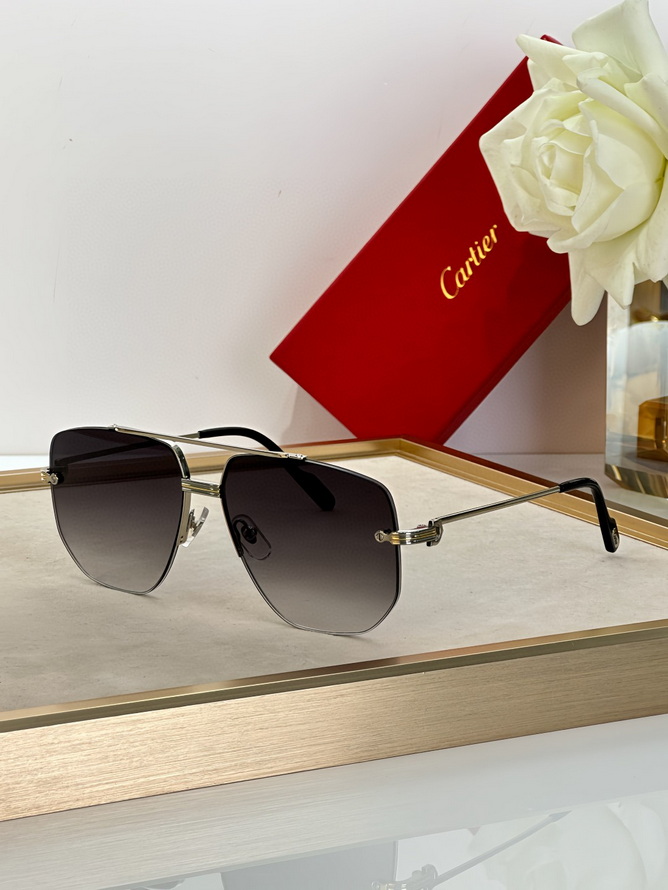 Cartier Sunglasses(AAAA)-776