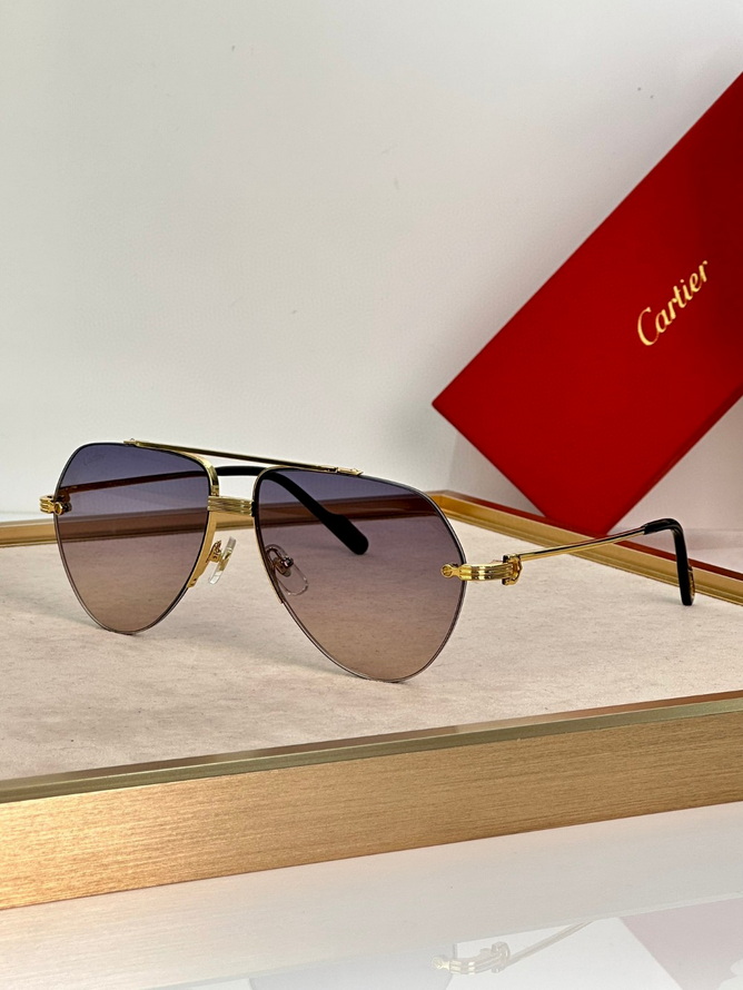 Cartier Sunglasses(AAAA)-738
