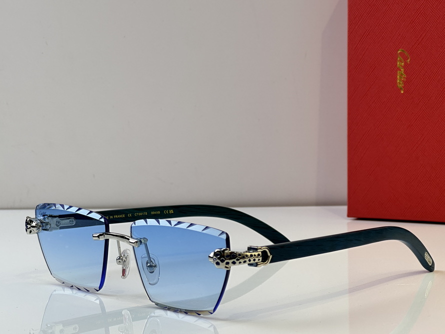 Cartier Sunglasses(AAAA)-616