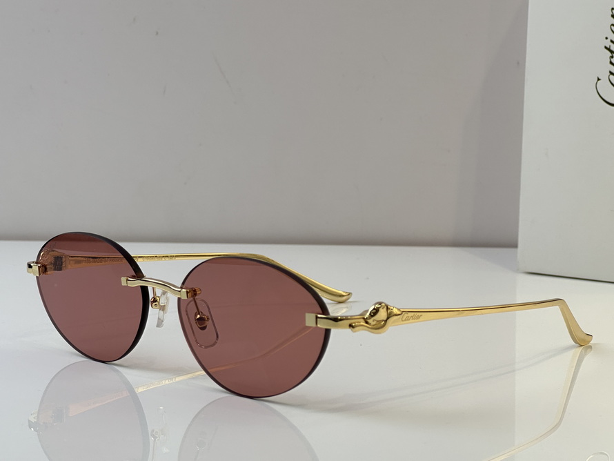 Cartier Sunglasses(AAAA)-579