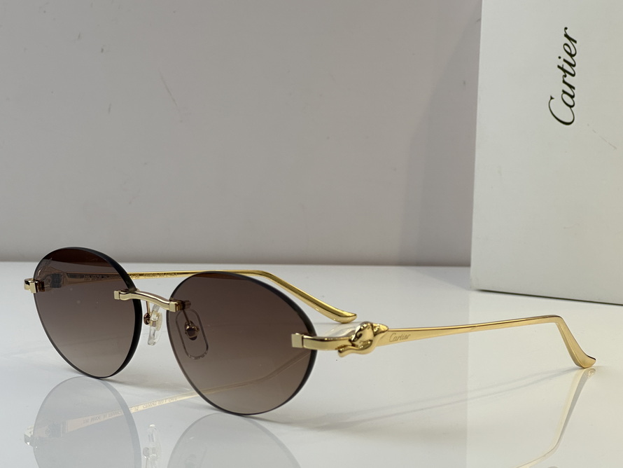 Cartier Sunglasses(AAAA)-573