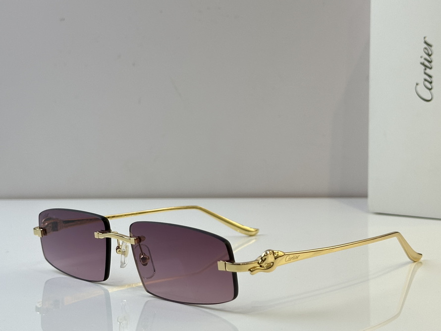 Cartier Sunglasses(AAAA)-570