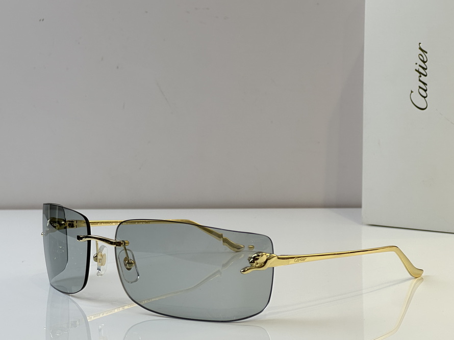 Cartier Sunglasses(AAAA)-550
