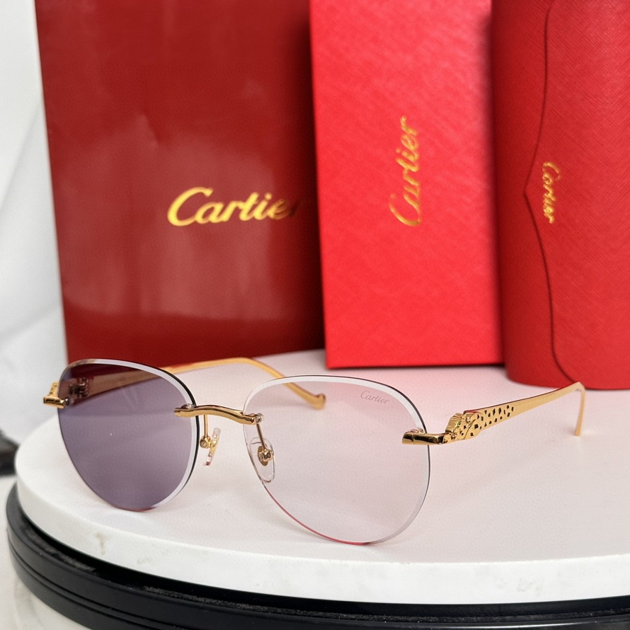 Cartier Sunglasses(AAAA)-490