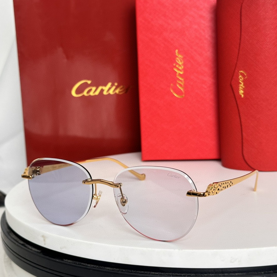 Cartier Sunglasses(AAAA)-489