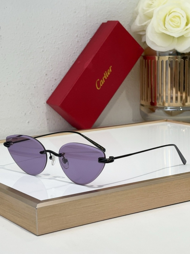 Cartier Sunglasses(AAAA)-229
