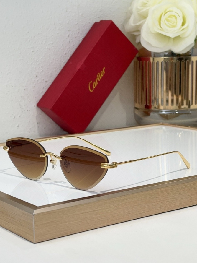 Cartier Sunglasses(AAAA)-228