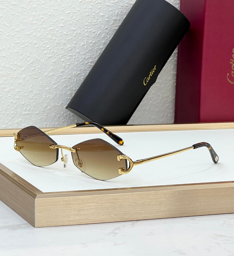 Cartier Sunglasses(AAAA)-193