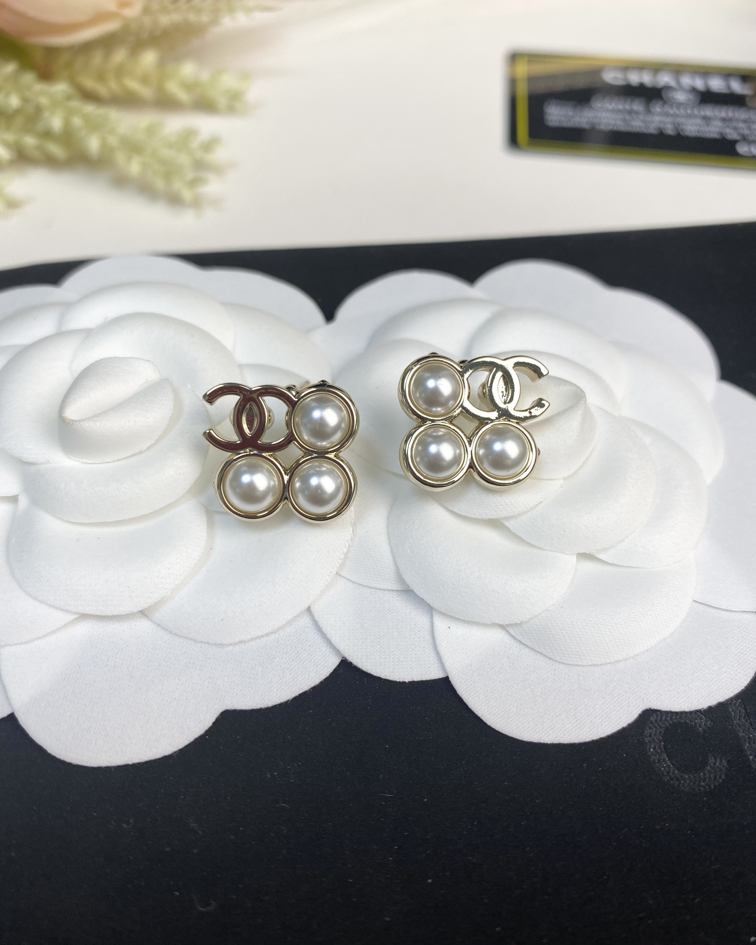 Bottega Veneta Earring-035