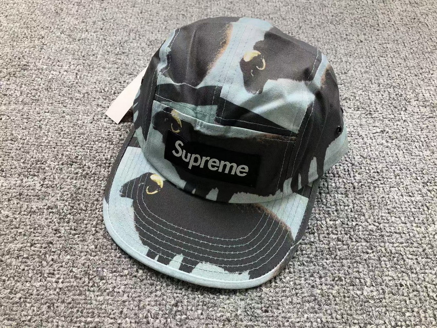 Supreme Cap-017
