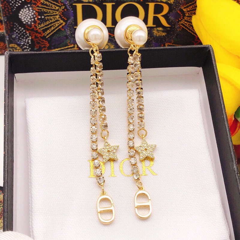 Dior Earrings-349