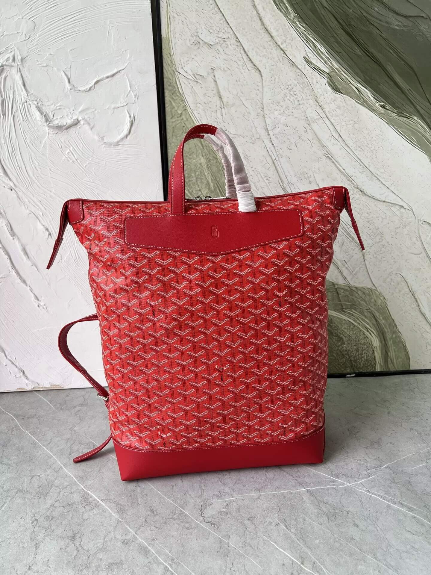 Goyard Backpack-031