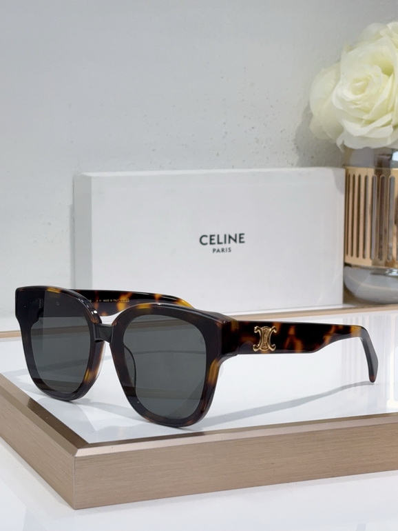 CELINE Sunglasses(AAAA)-527