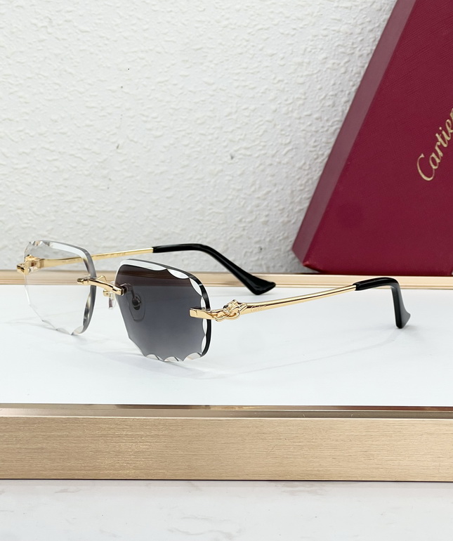 Cartier Sunglasses(AAAA)-691