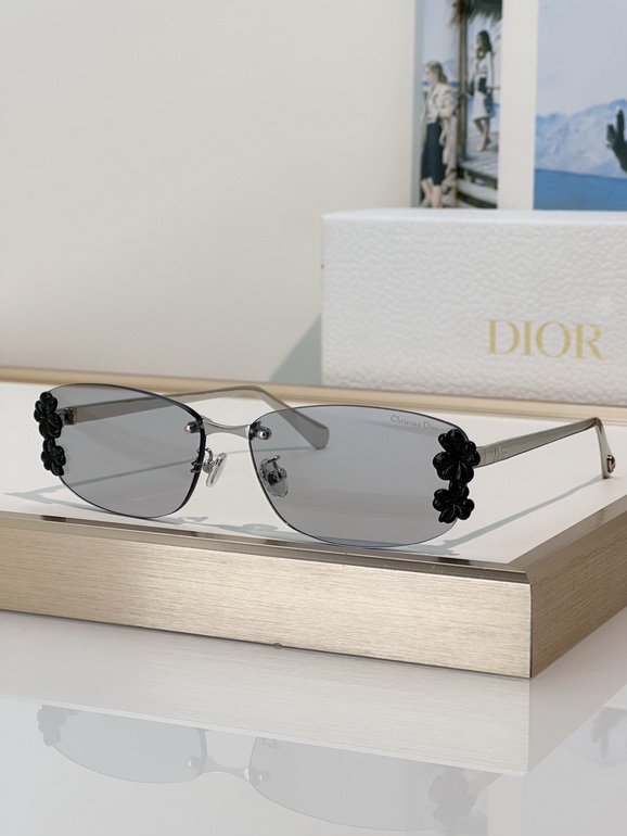 Dior Sunglasses(AAAA)-064