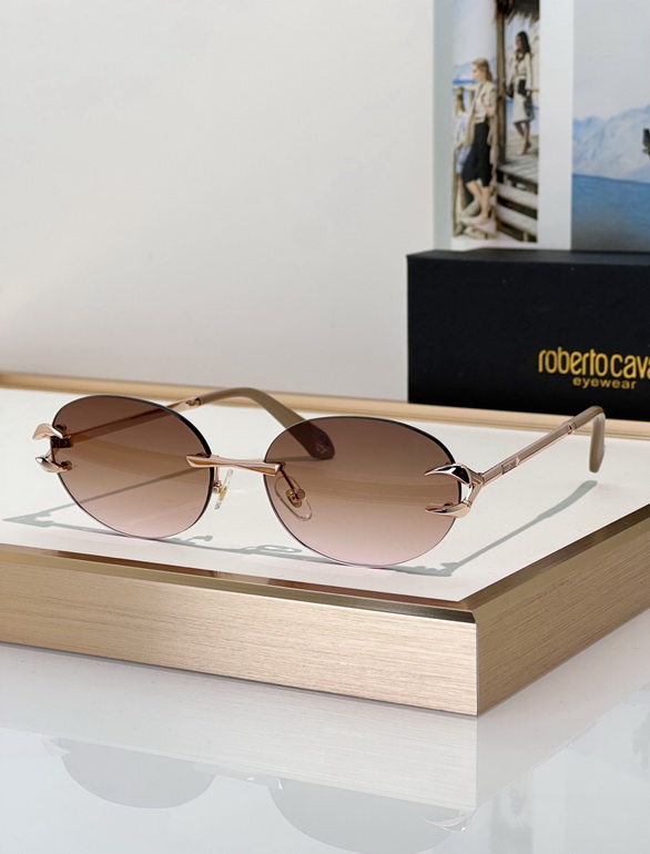 Roberto Cavalli Sunglasses(AAAA)-060