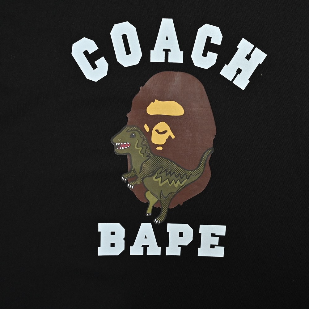 Bape T-shirts-1057