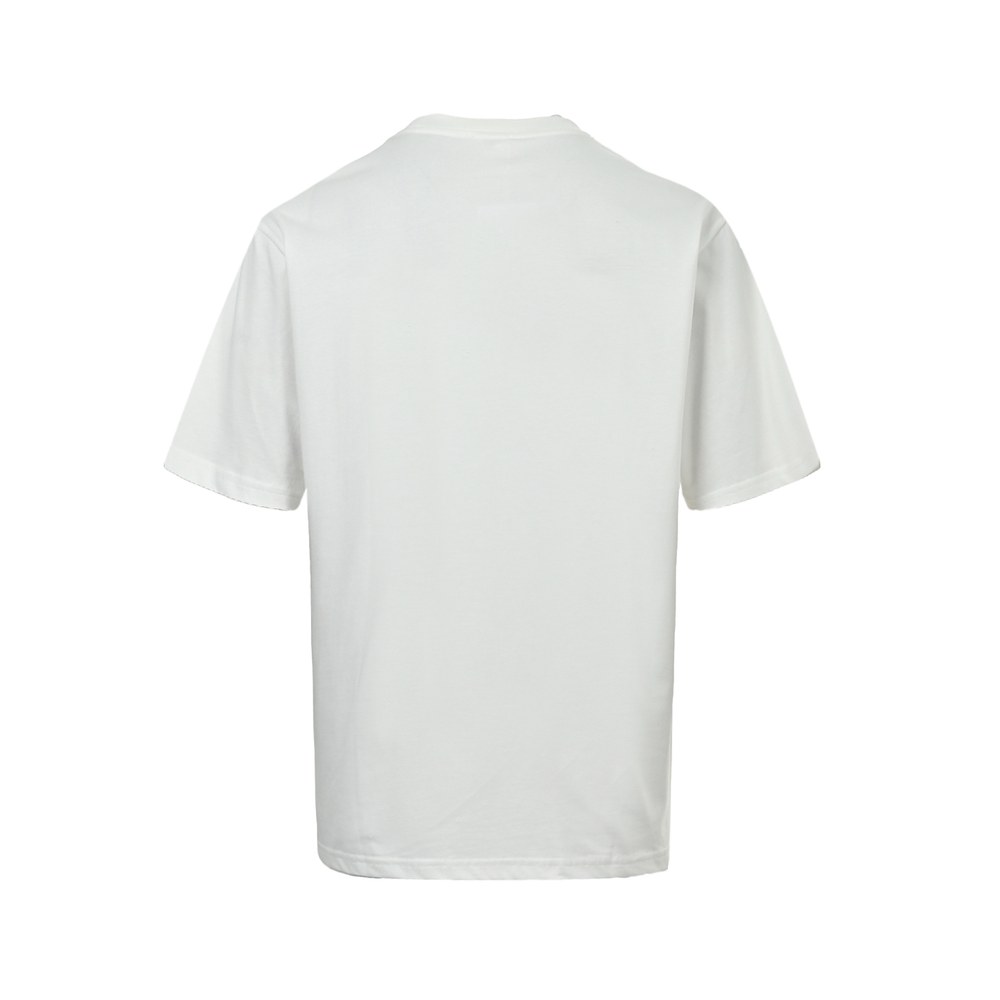 Celine T-shirts-042