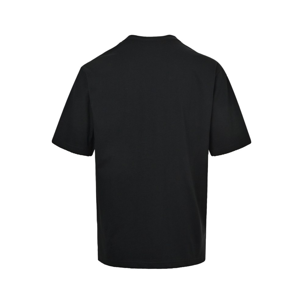 Celine T-shirts-041