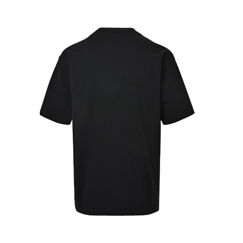 Celine T-shirts-028