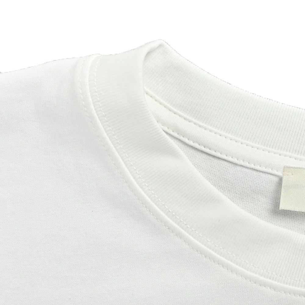 Celine T-shirts-039