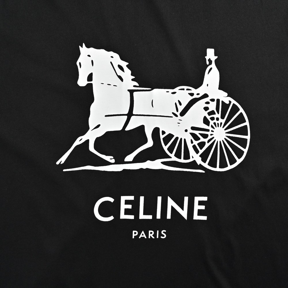Celine T-shirts-044