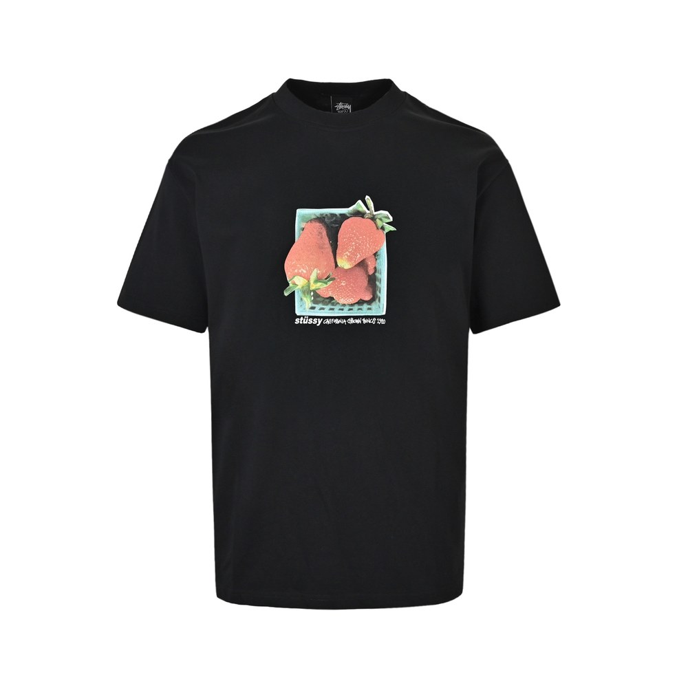 Stussy T-shirts-041